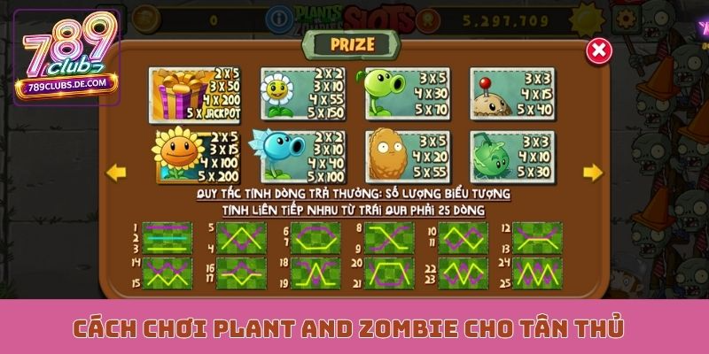 Cách chơi Plant and Zombie từng bước cho tân thủ